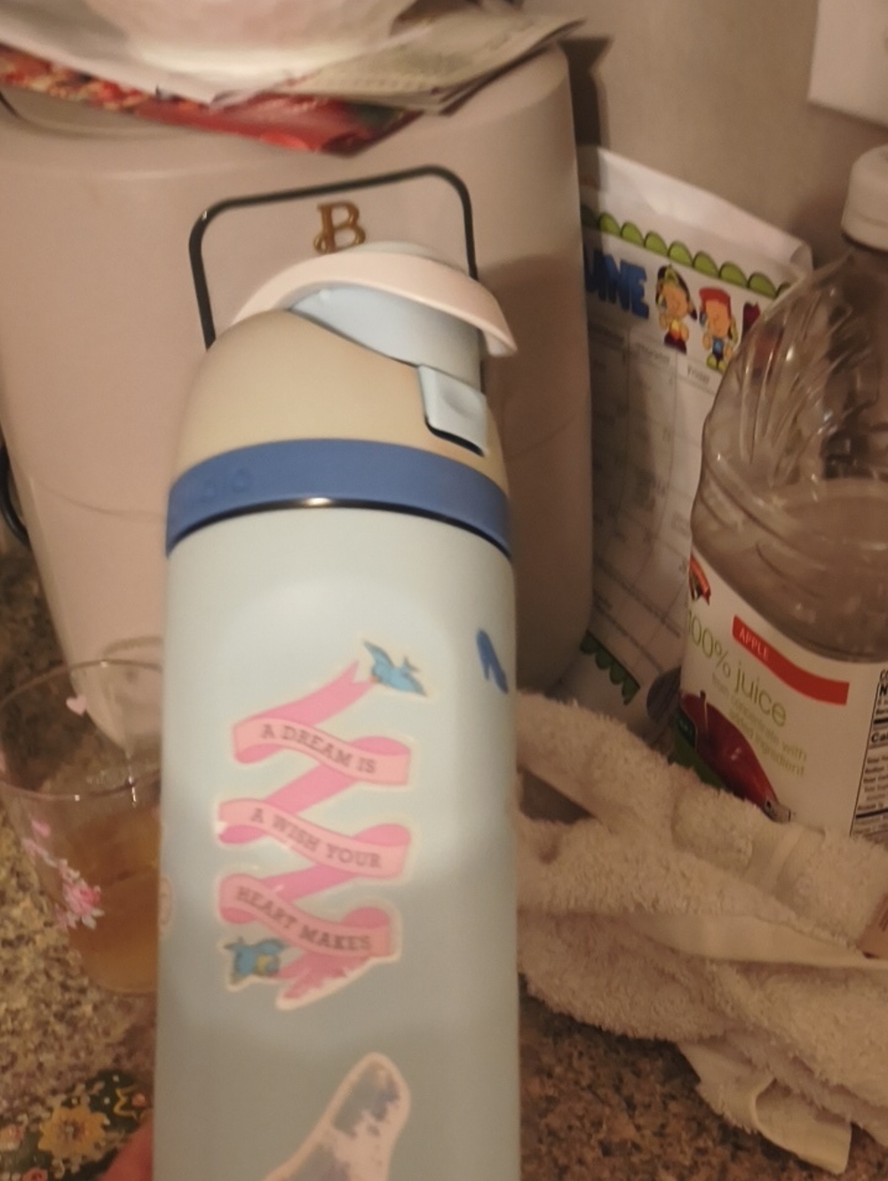 Light Blue Stainless Water Bottle with Pink Ribbon Graphic Cinderella